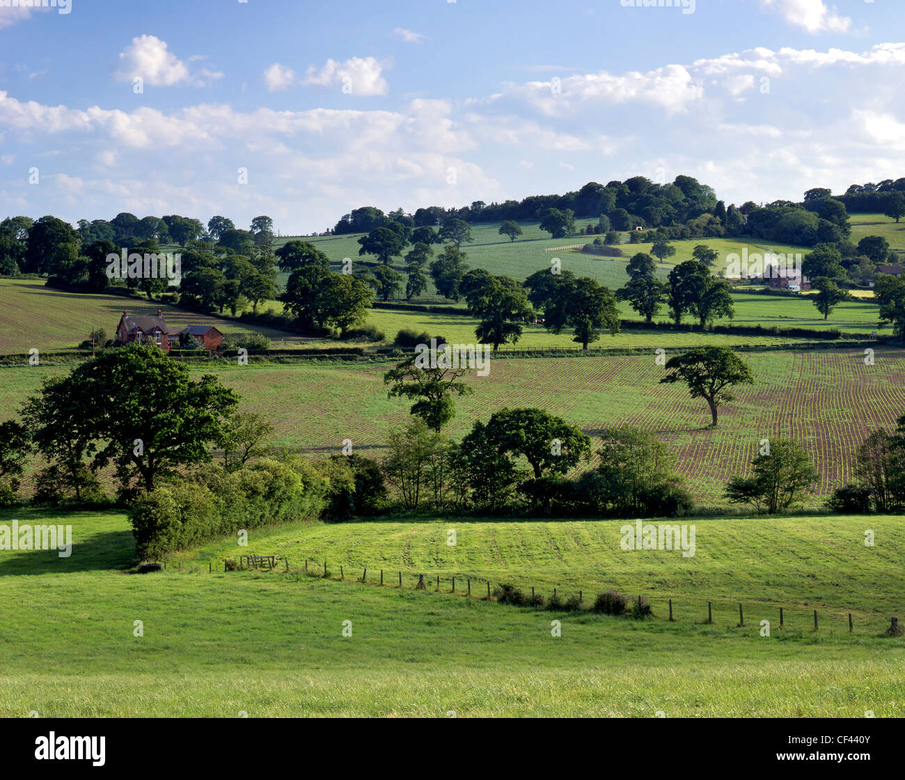Blick über Ackerland auf sanften Hügeln im ländlichen Cheshire. Stockfoto