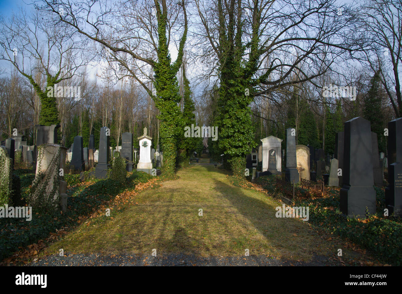 Novy Zidovsky Hrbitov der neue jüdische Friedhof Zizkov Bezirk Prag Tschechische Republik Europa Stockfoto