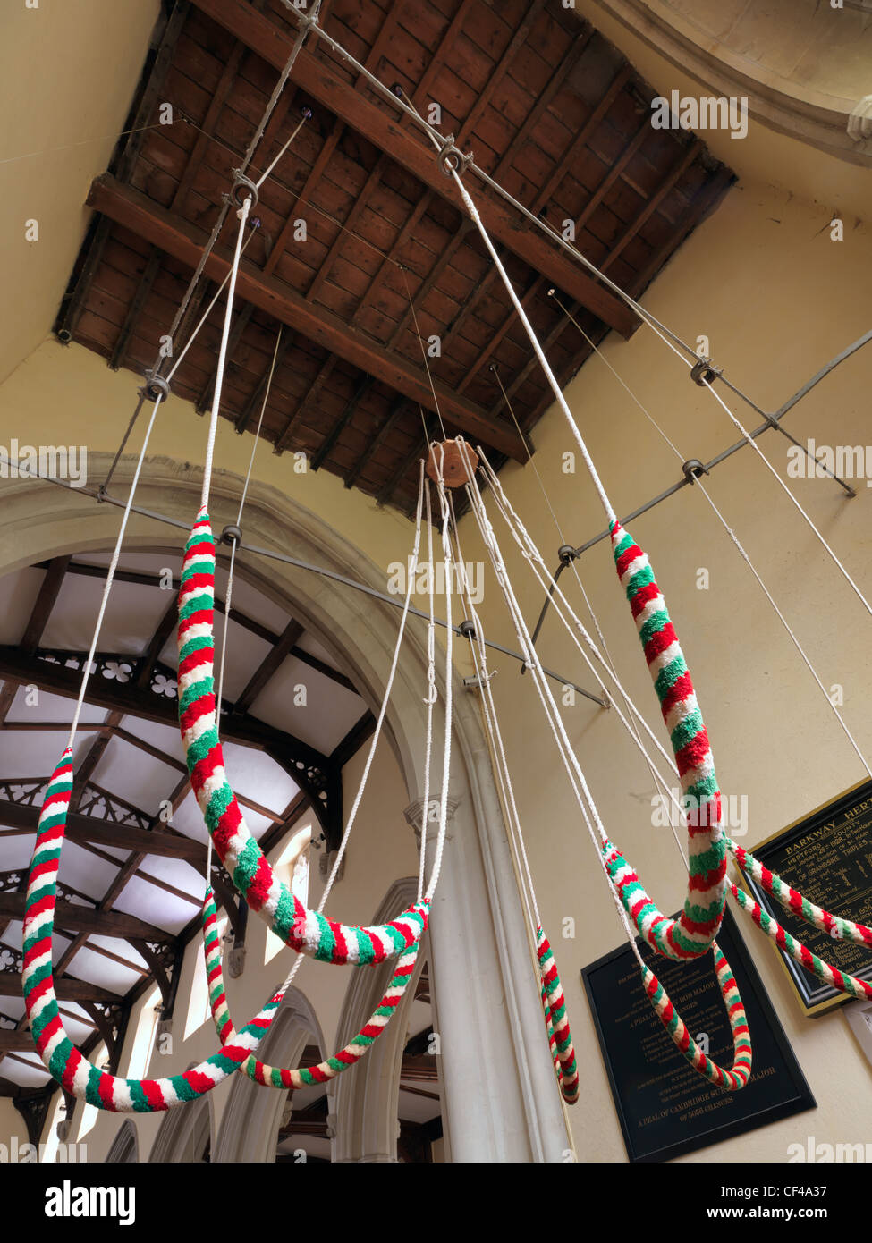 Seile aus einem Geläut der acht Glocken im Turm der St. Maria Magdalena Kirche in Barkway. Stockfoto