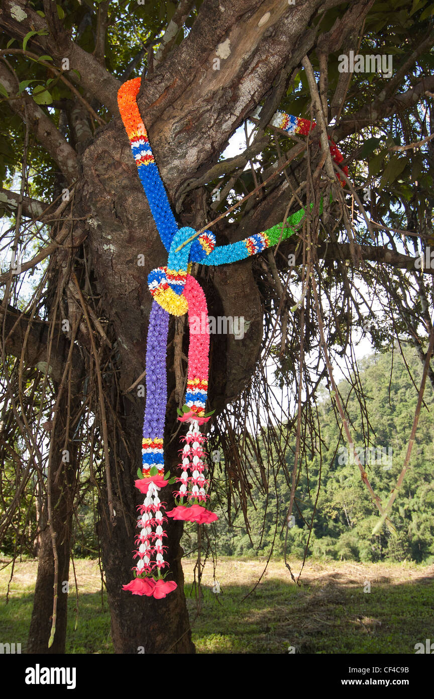 Elk208-2063v Thailand, Mae Sot, garlands on tree Stockfoto