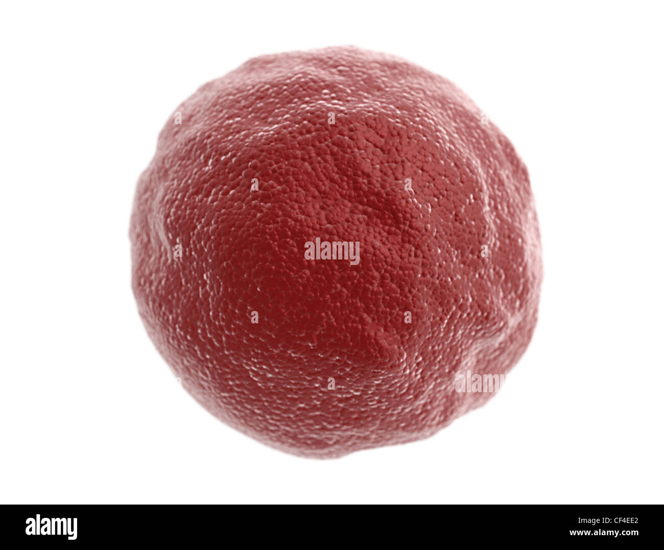 Roter Krebs Kranke Zelle isoliert auf weiss Stockfoto