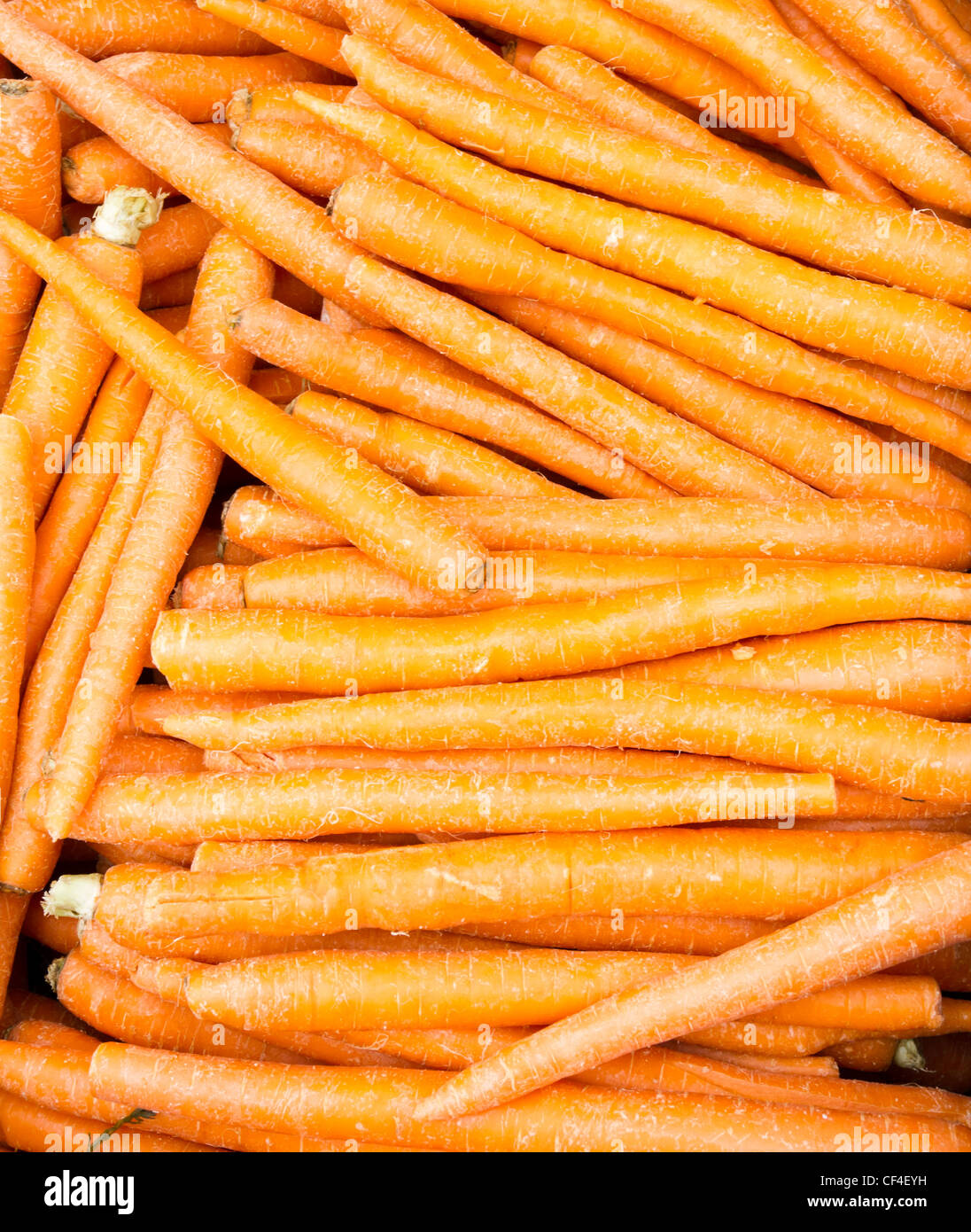 Ein Großteil Display frisch gegrabene Karotten zum Verkauf bereit Stockfoto