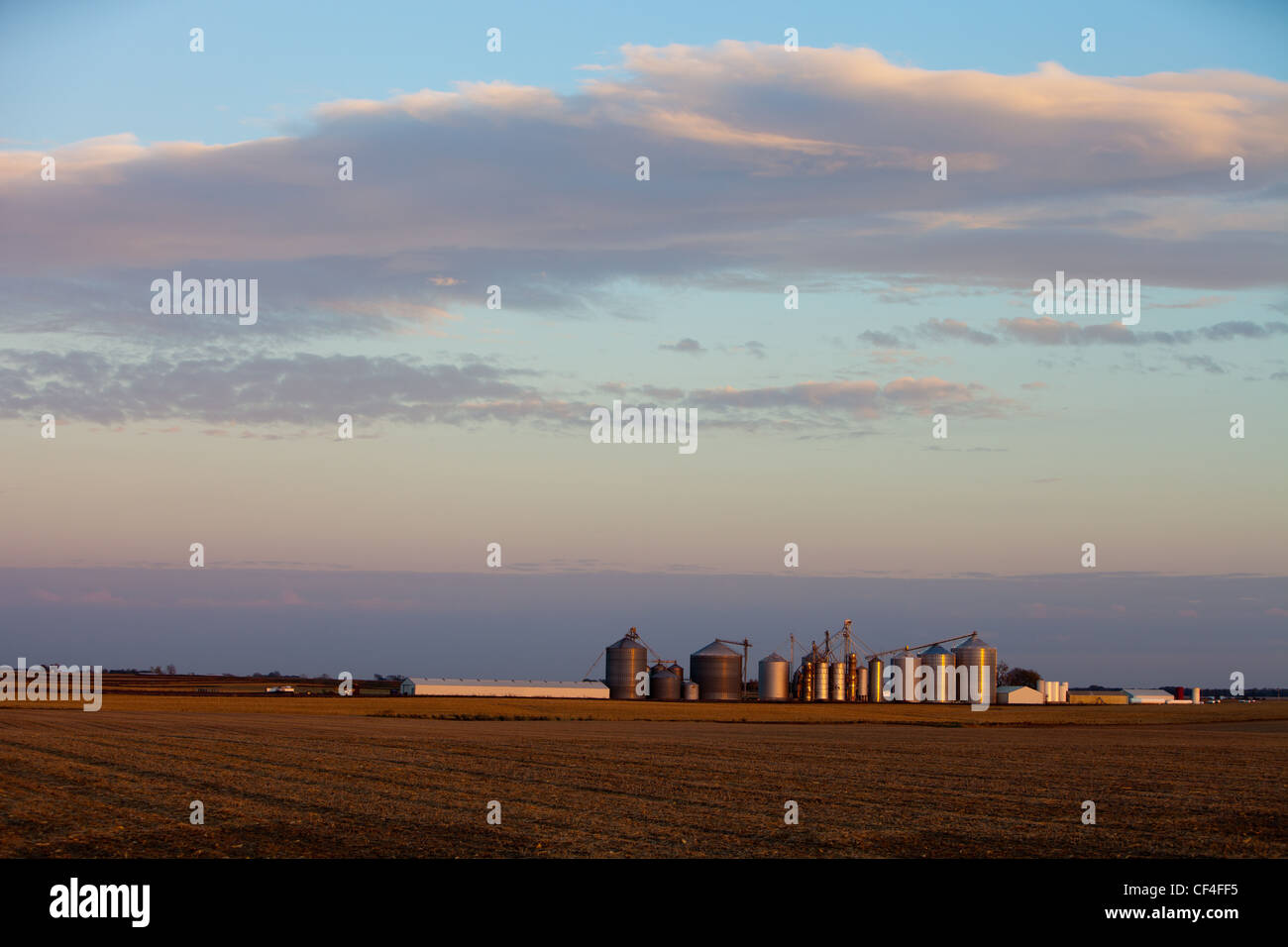 Eine große Getreidesilo Komplex am Horizont in eine Herbstszene im ländlichen Illinois. Stockfoto