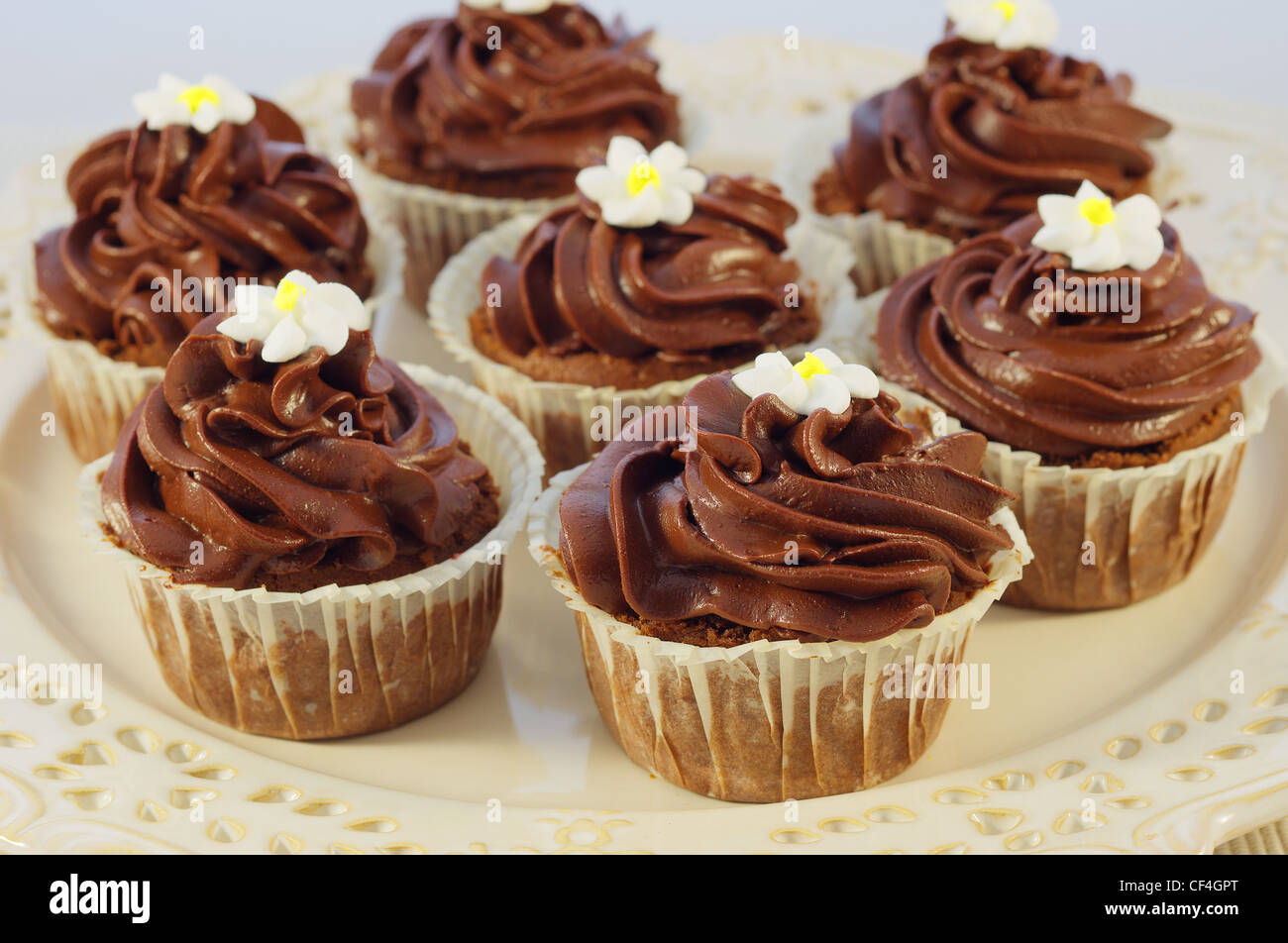 Schokoladentörtchen mit Chocolate cream Stockfoto