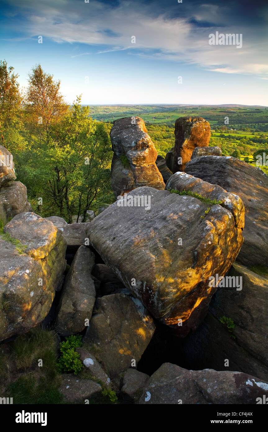 Brimham Rocks ist eine einzigartige Sammlung von erodierten Felsen auf einer Fläche von etwa 50 Hektar, in der Obhut des National Trust. Multi Stockfoto