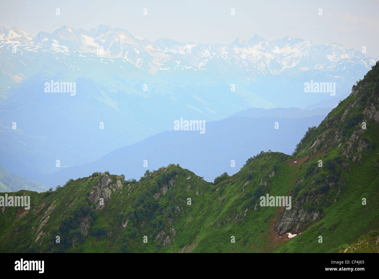 grüne Hügel. Berge mit Schnee Kappen in der Ferne. Stockfoto