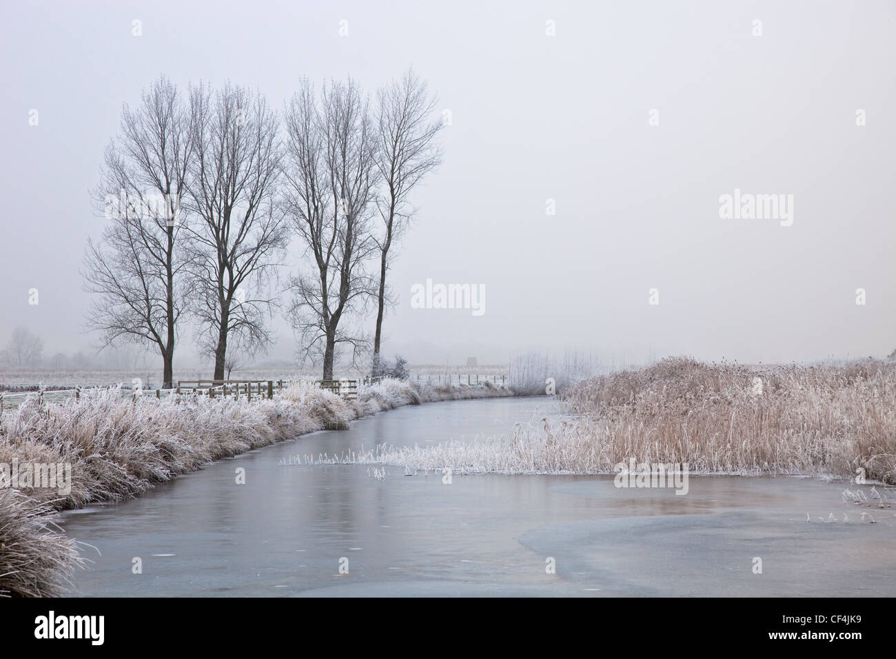 Einen gefrorenen Fluss mit Bäumen an einem frostigen Morgen in Norfolk. Stockfoto