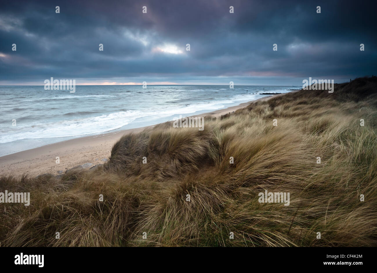 Windgepeitschten Rasen bedeckt Dünen am Strand über Warenkorb Lücke an der Küste von Norfolk. Stockfoto