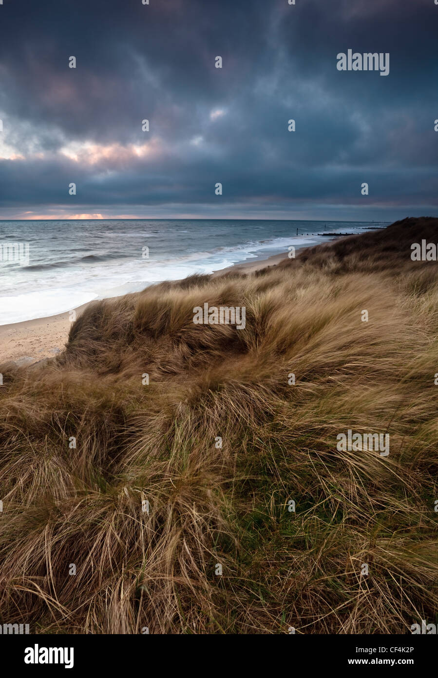 Windgepeitschten Rasen bedeckt Dünen am Strand über Warenkorb Lücke an der Küste von Norfolk. Stockfoto