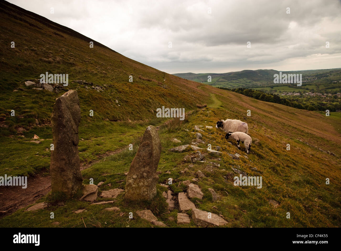 Zwei Schafe weiden an der Seite des einen Fußweg quer über einen Hügel in der Peak District National Park. Stockfoto
