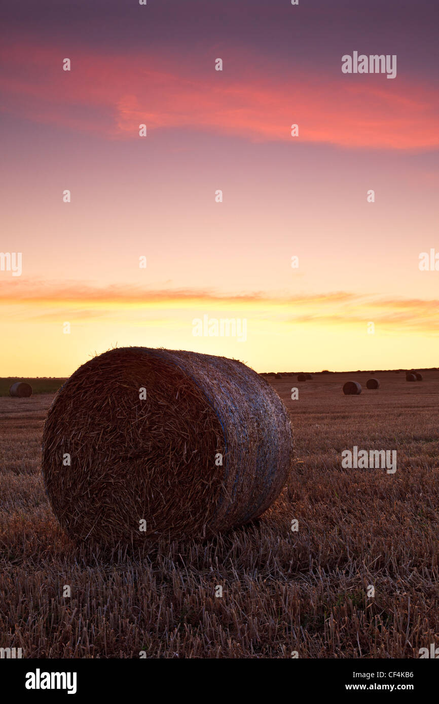 Eine Runde Heuballen auf landwirtschaftlichen Flächen in der Nähe von Wert Matravers bei Sonnenaufgang. Stockfoto