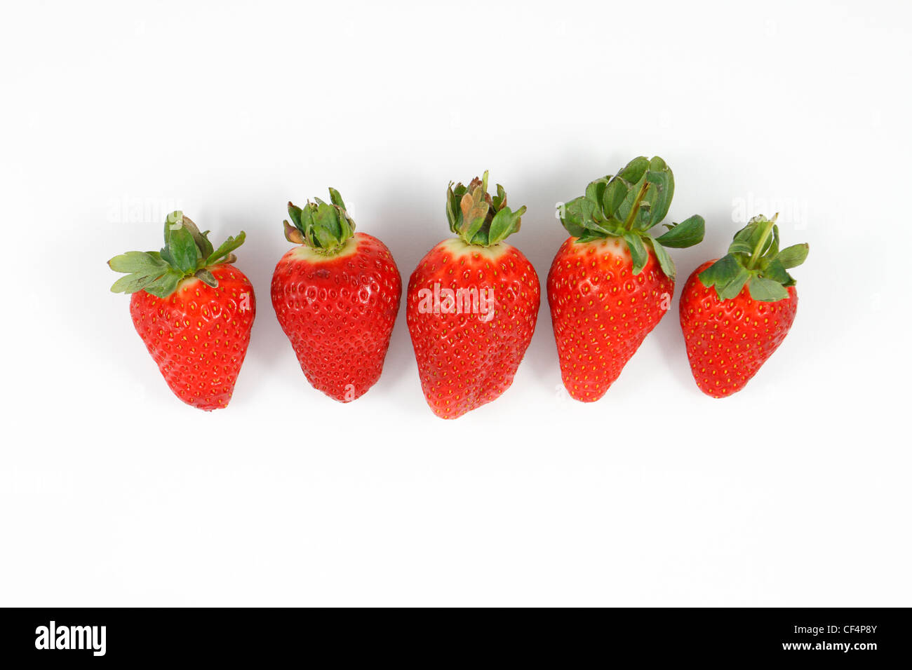 Ganze Erdbeeren auf weißem Hintergrund. Stockfoto
