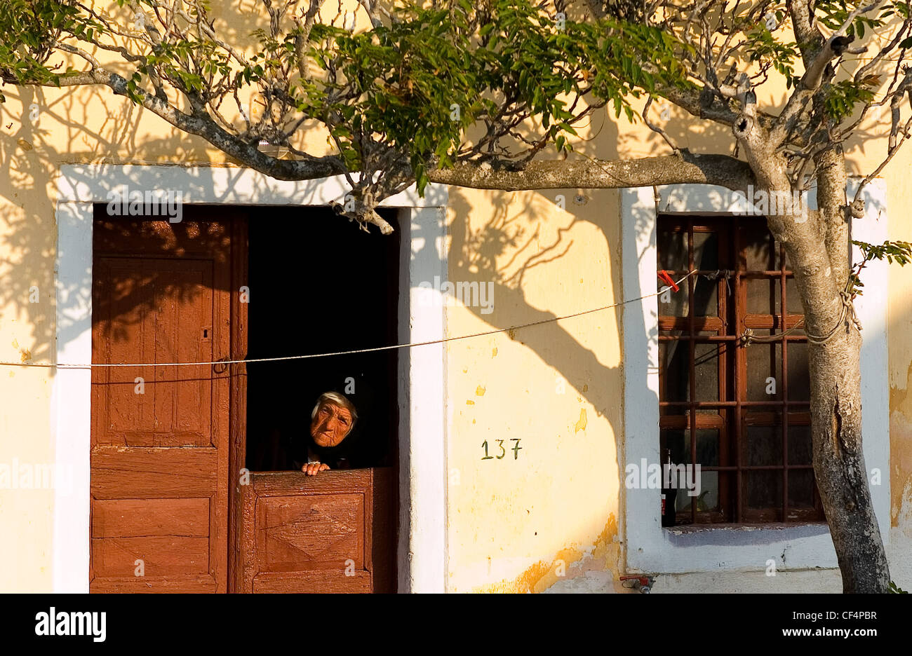 Eine alte Frau sucht aus ihren vorderen braunen Holztür ihres Hauses neben Olivenbaum. Stockfoto