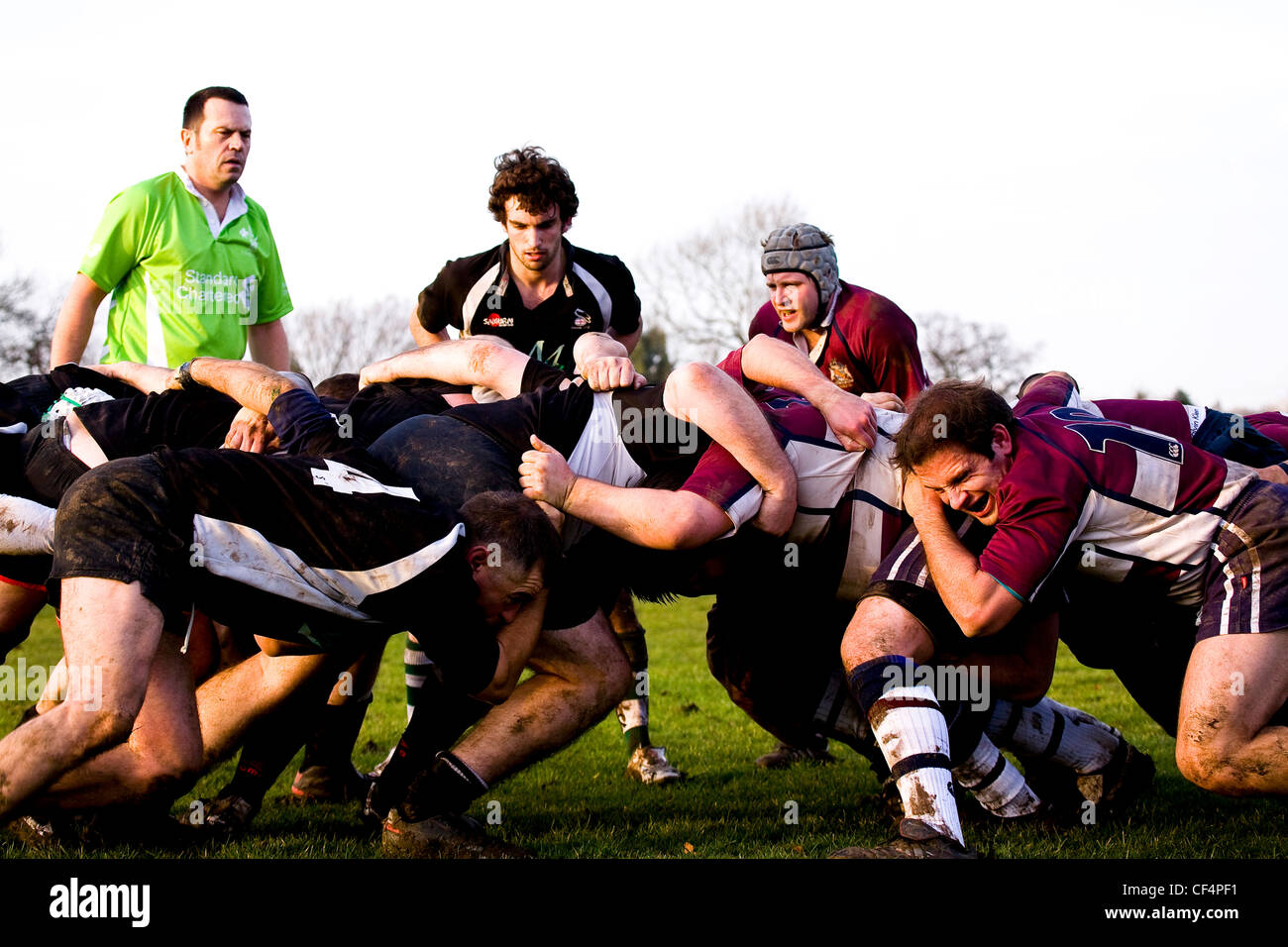 Englischer Rugby-Spieler in Aktion. Stockfoto