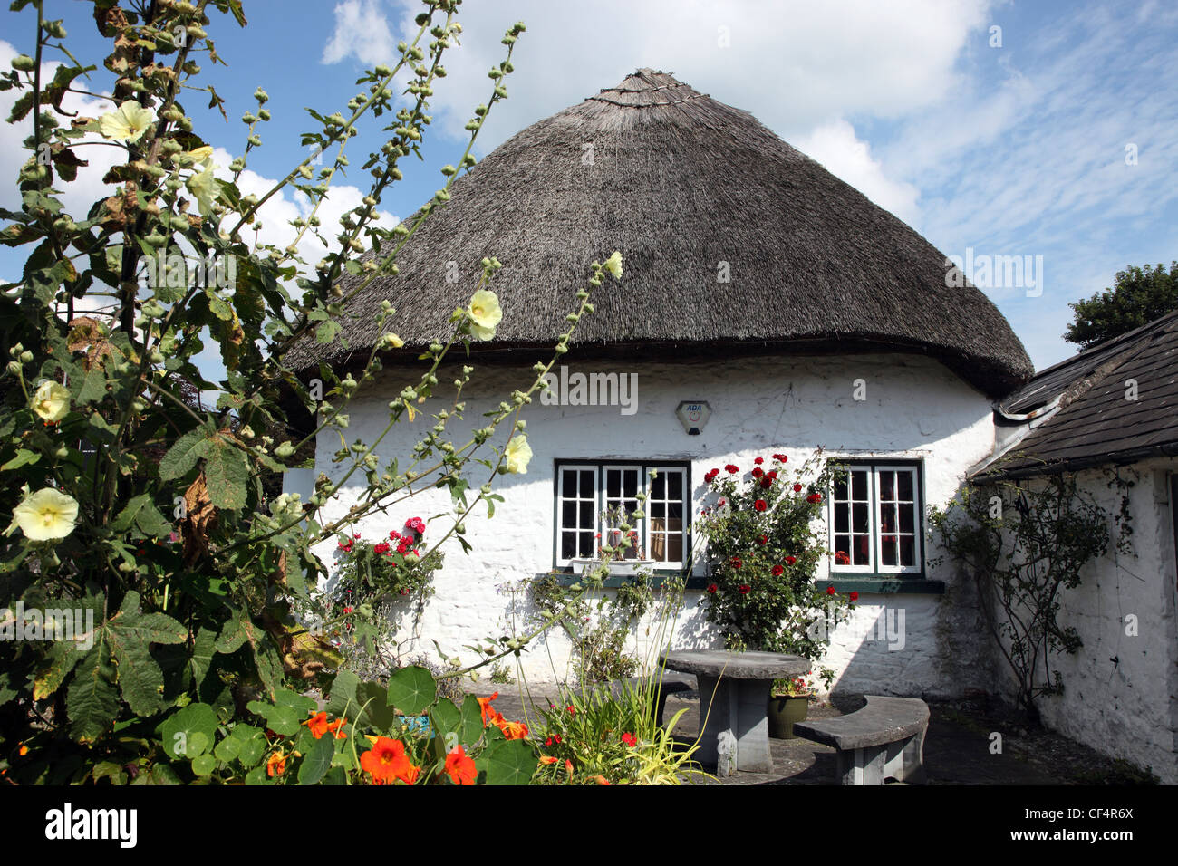 Reetdachhaus in Adare, einem kleinen Dorf berühmt für seine Antiquitätenläden. Stockfoto