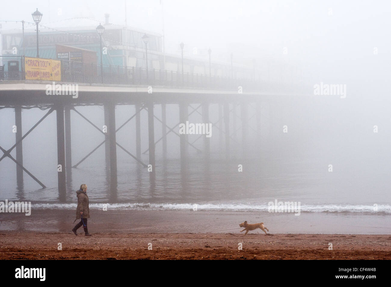 Paignton Strand, Nebel, Nebel, Küste, Küste, Hund, Energie, England, Abend, spannend, Familie, Schaum, Spaß, Menschen, Natur, Natur, o Stockfoto