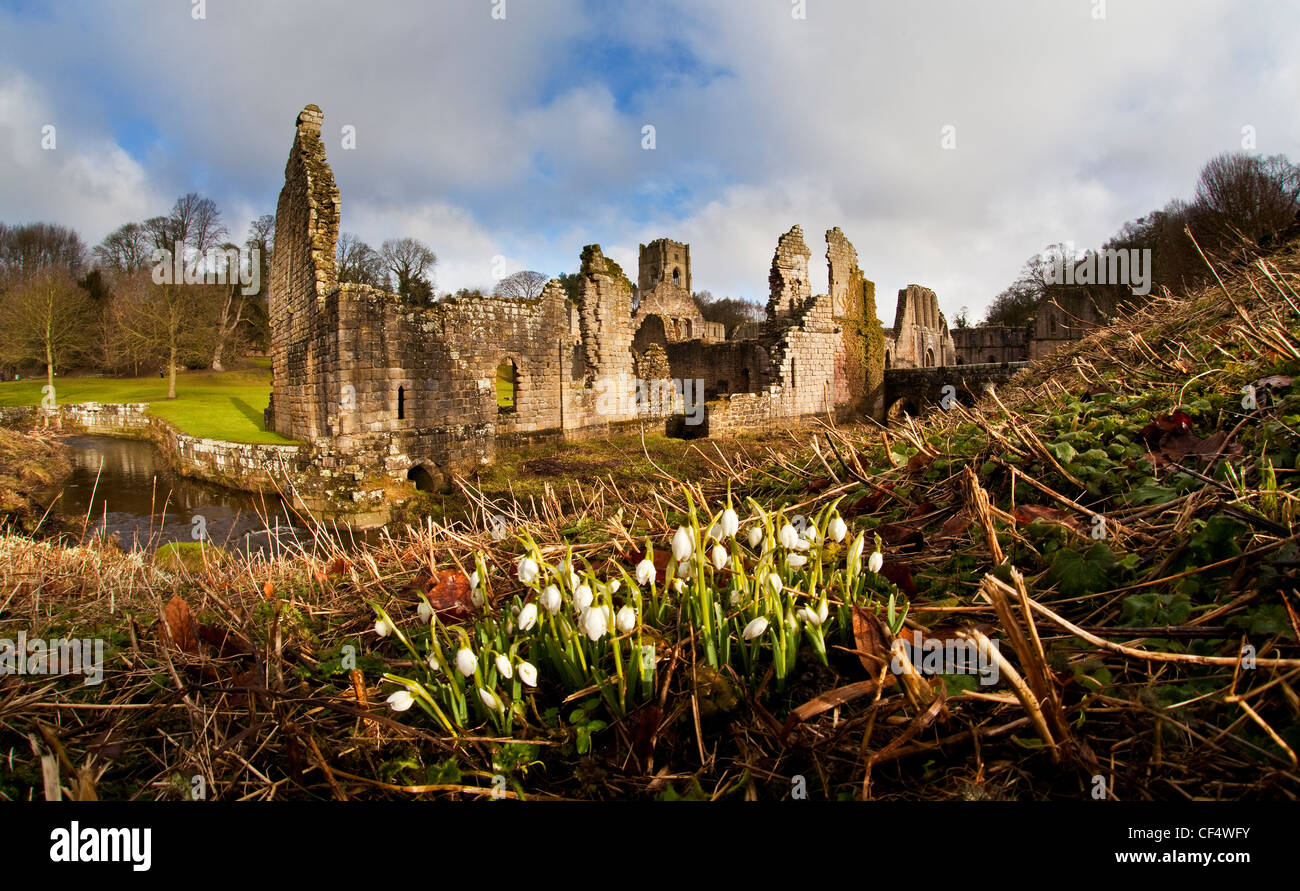 Fountains Abbey, ein Zisterzienser-Klosterruine 1132 gegründet. Es ist ein UNESCO-Weltkulturerbe und Teil des Anwesens F Stockfoto