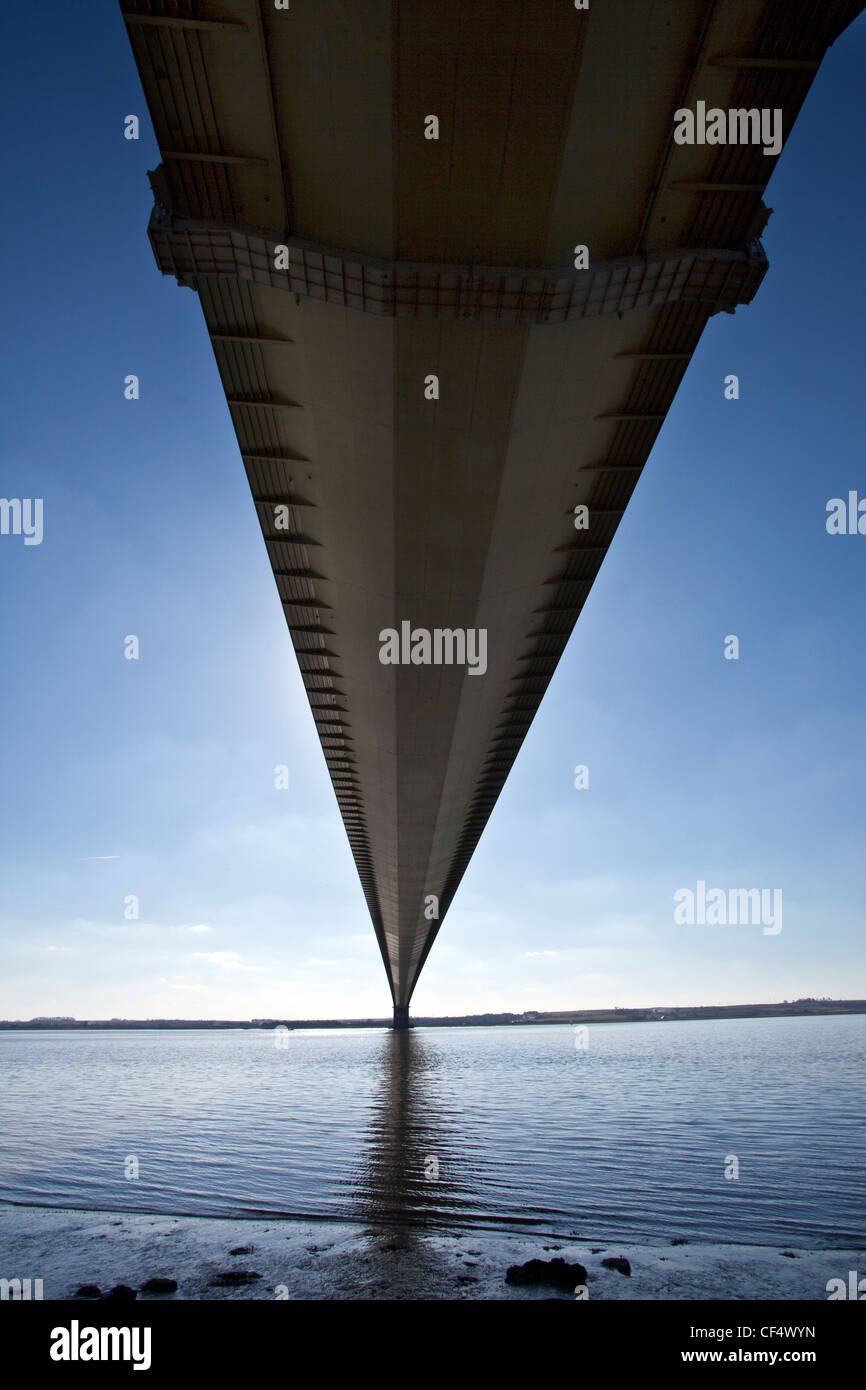 Die Unterseite des Humber Bridge, die fünftgrößte Single-Span-Hängebrücke der Welt. Stockfoto
