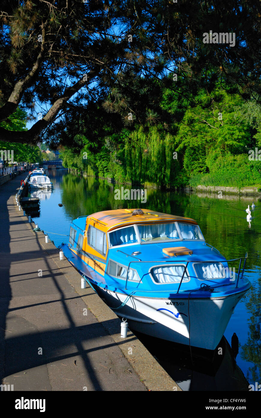 Boote vertäut an Norwich Yacht Station auf dem Fluss Wensum zwischen Norwich und Yare auf den Norfolk Broads. Stockfoto