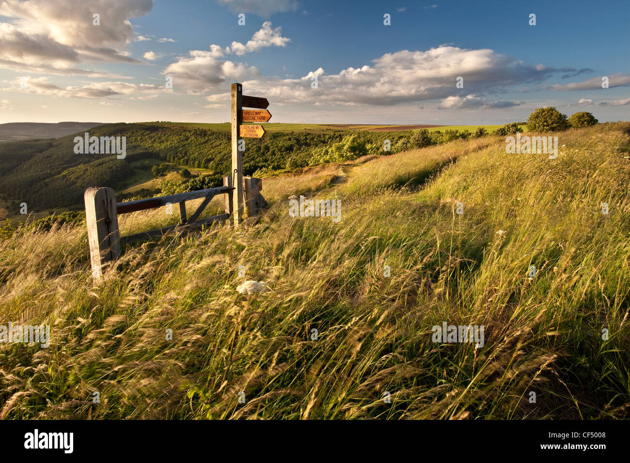 Wanderweg-Zeichen durch ein Tor auf die Cleveland Weg nördlich von Sutton Bank. Stockfoto