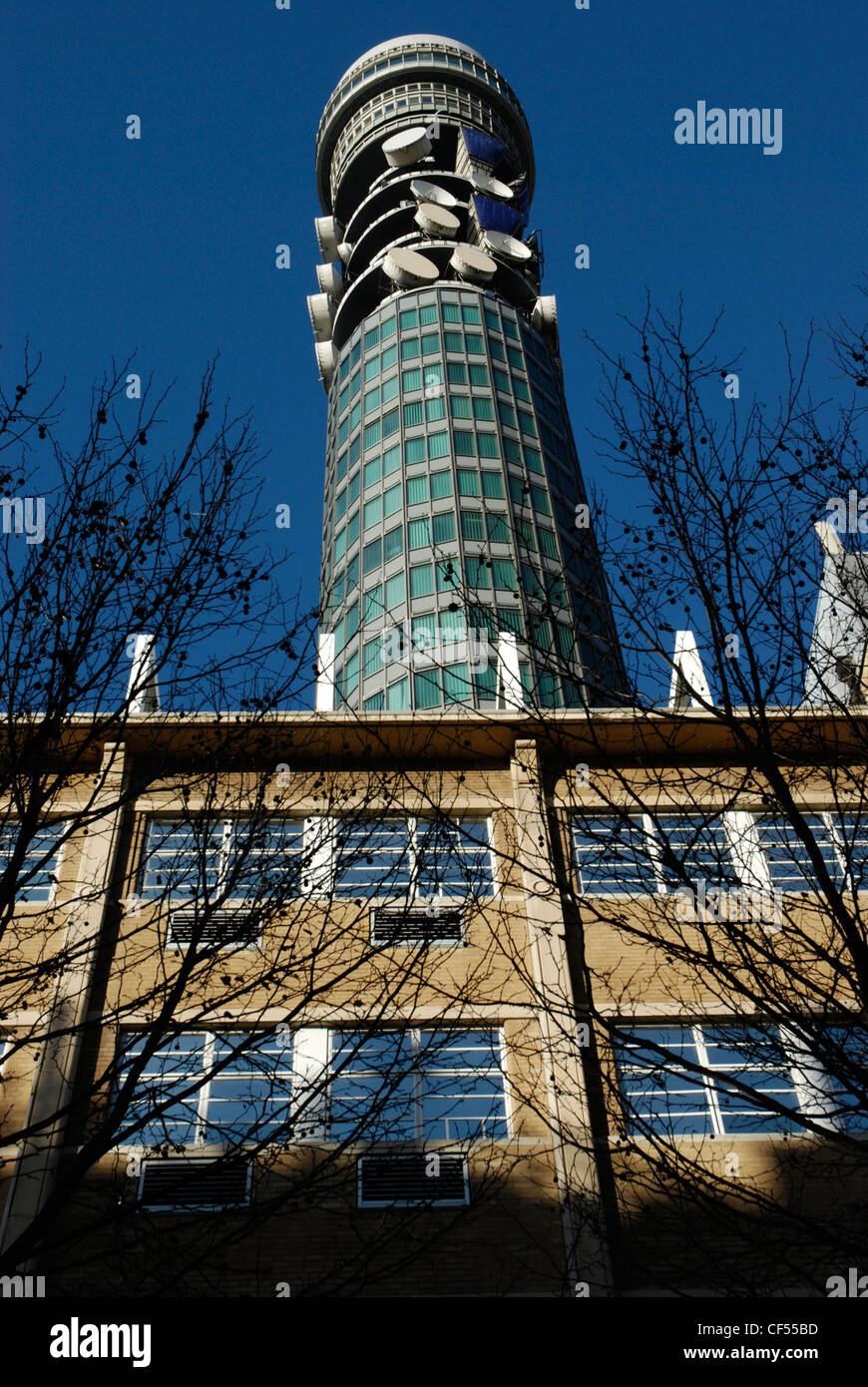 Die British Telecom Turm erhebt sich über nahe gelegene Gebäude und Bäume in London. Stockfoto