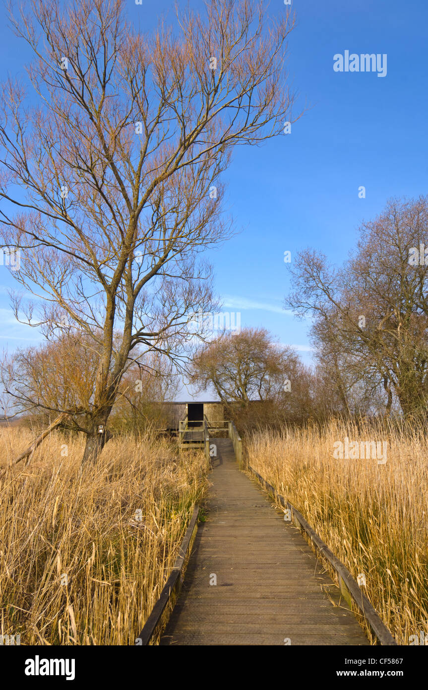 Titchfield Hafen Nature Reserve - Wiese verstecken - Hampshire UK Stockfoto
