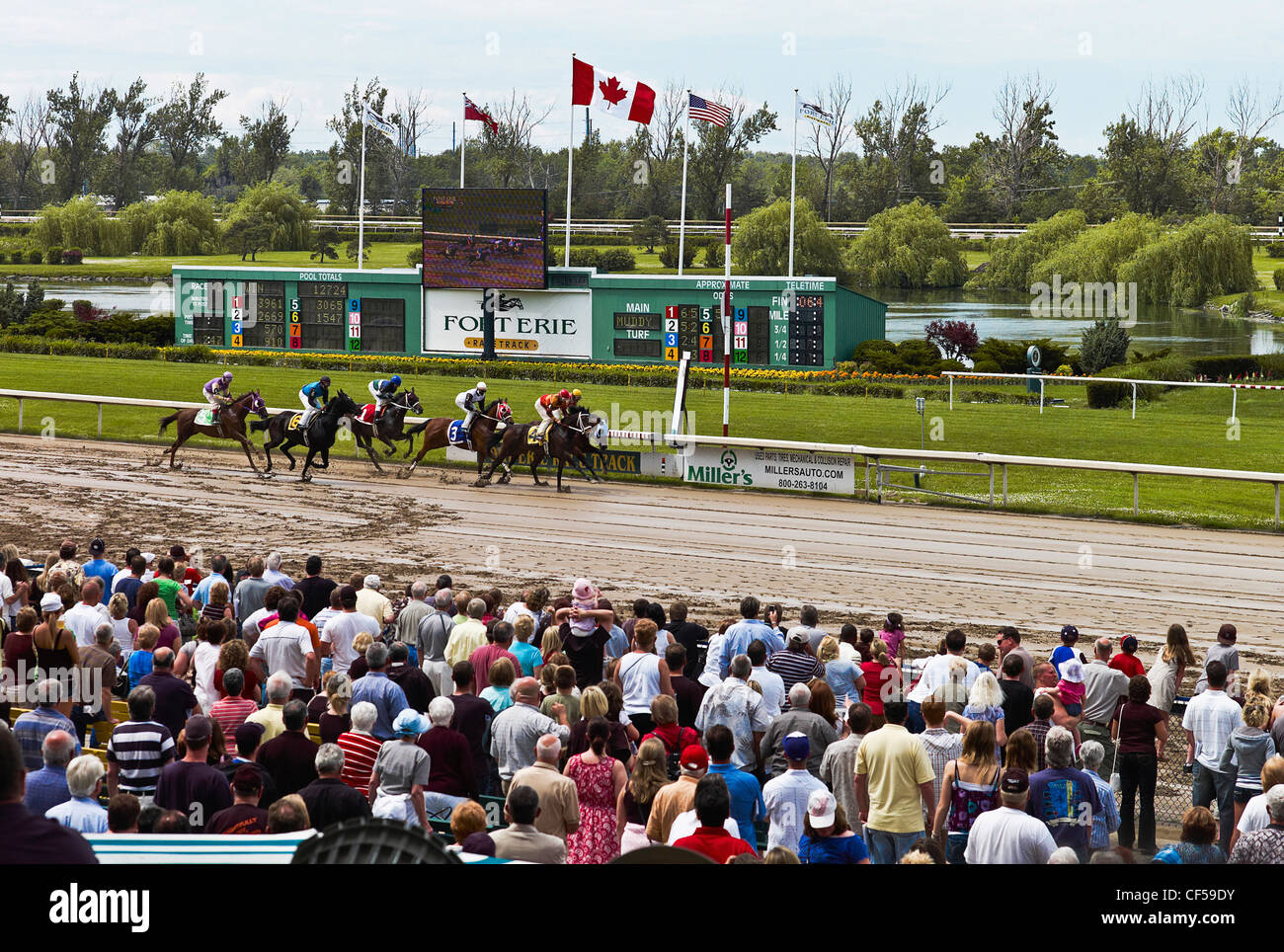 Kanada, Ontario, Fort Erie, Menschenmenge beobachten Pferderennen fertig Wetter Dirt-Track. Stockfoto