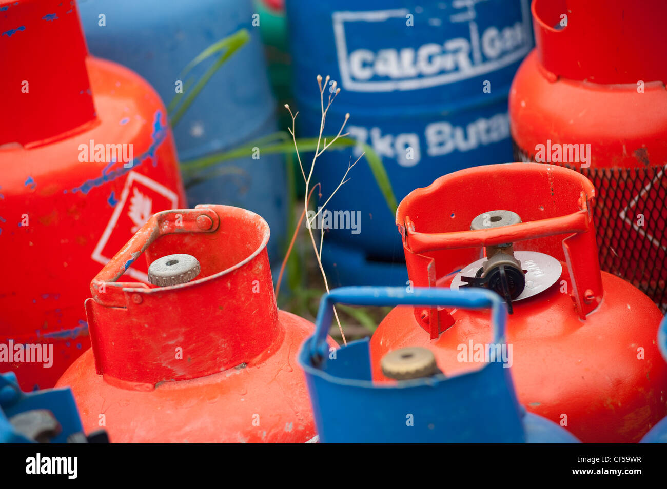 Roten und blauen Propan und Butan Calor Gas-Behälter. Stockfoto