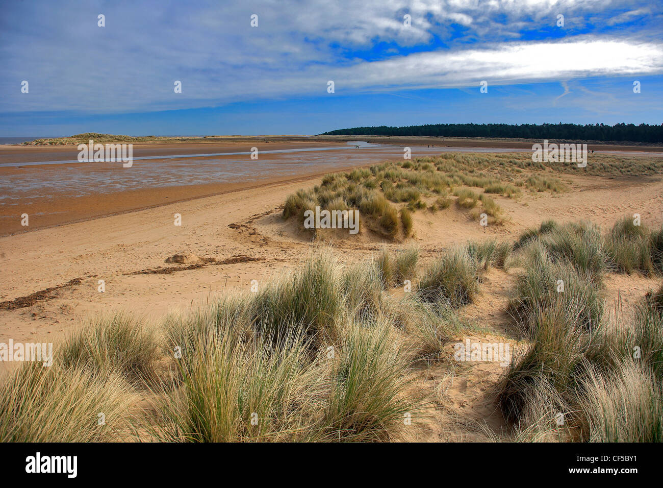 Sanddünen Holkham Bay Beach National Nature Reserve Peddars Weise North Norfolk Holkham Village, North Norfolk, England, UK Stockfoto