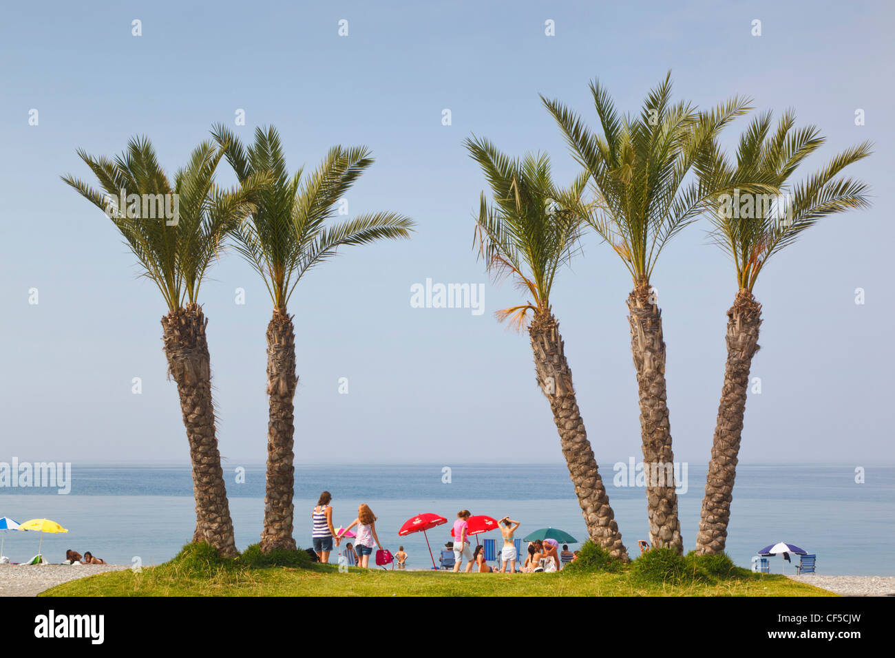 La Herradura, Provinz Granada, Costa Tropical, Spanien. Strand und Palmen Bäume. Stockfoto