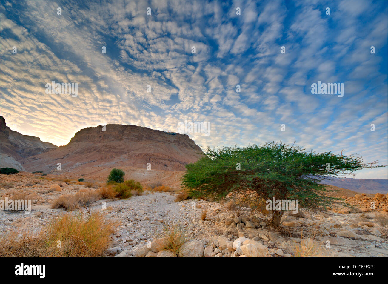 Masada, Standort einer historischen Belagerung von römischen Legionen auf Sicarii Juden, die hier während des ersten jüdisch-römischen Krieg flüchteten. Stockfoto