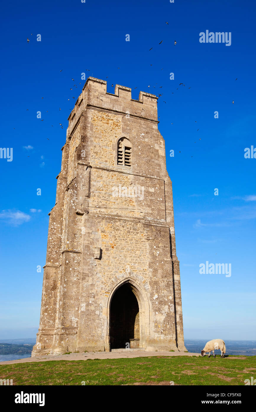 St. Michael Turm auf Glastonbury Tor, ein Hügel auf der Somerset Ebene zugeordnete Avalon und die Legende von König Arthu Stockfoto