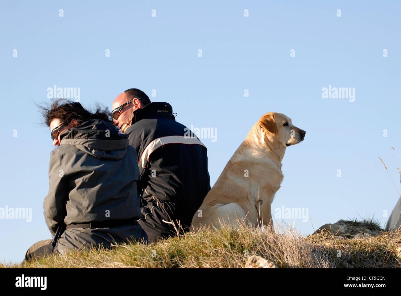 Paar sitzt auf Hügel mit alten weiblichen Golden Labrador sitzt hinter Stockfoto