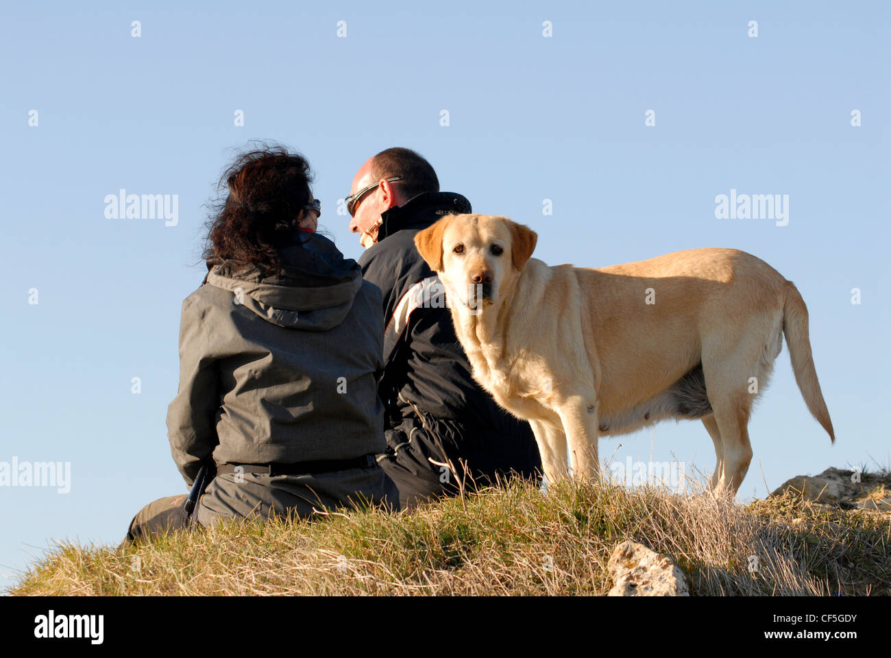 Paar sitzt auf Hügel mit alten weiblichen Golden Labrador stehen hinter Stockfoto