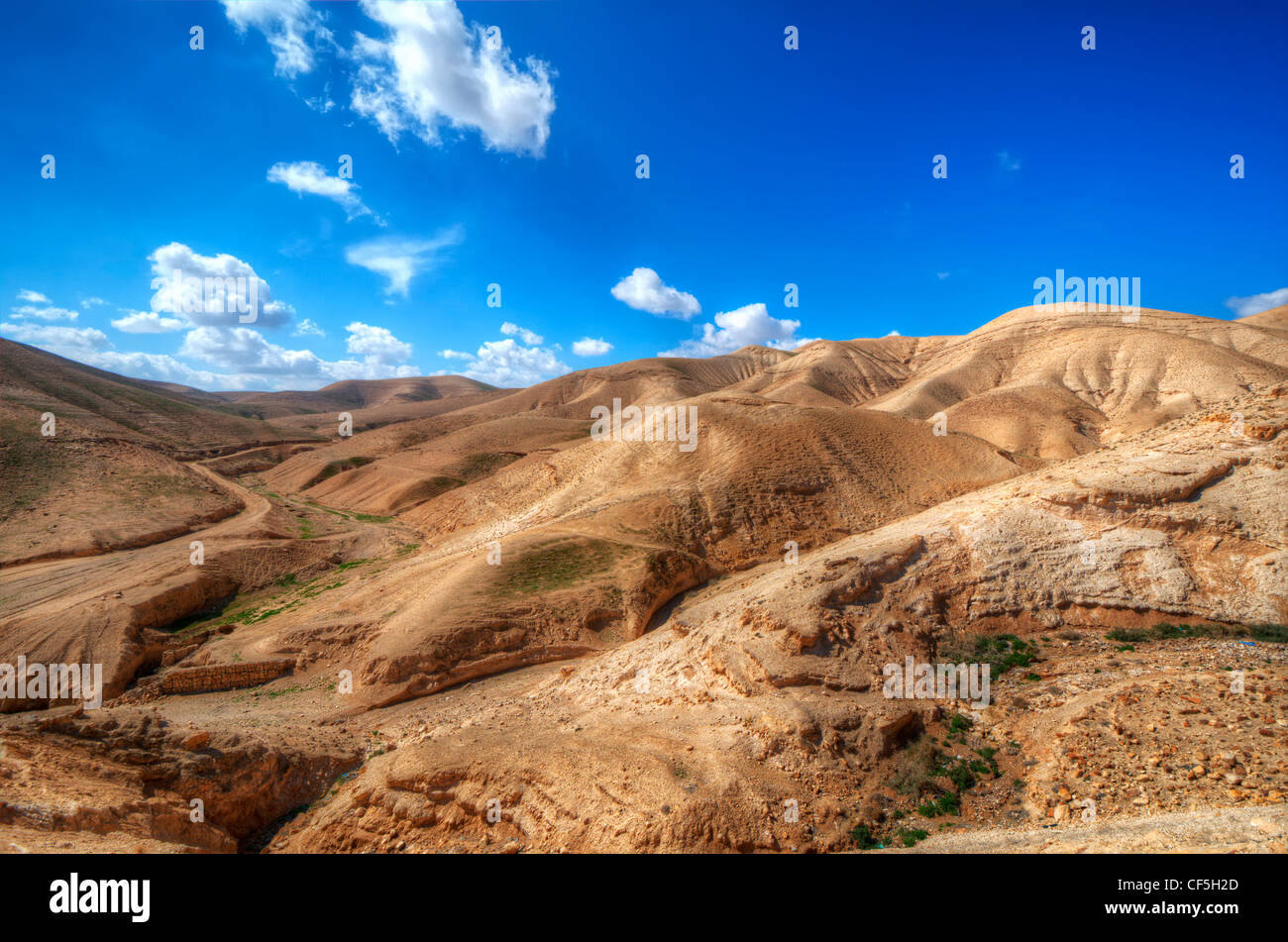 Wüstenlandschaft in der Nähe von Jerusalem, Israel. Stockfoto