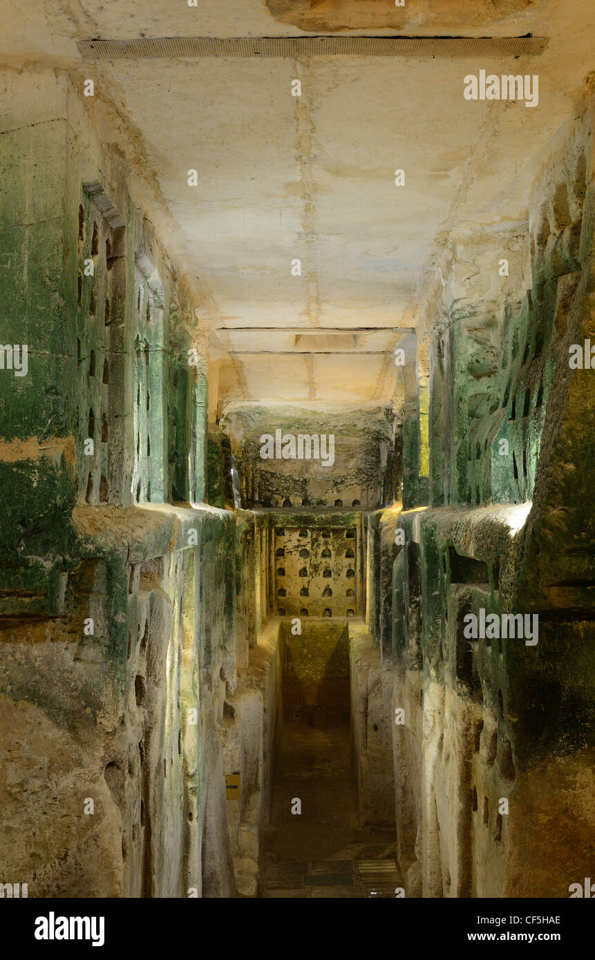 Kolumbarium Höhlen bei Beit Guvrin, Israel, wurden für die Taube Erziehung in der Antike verwendet. Stockfoto