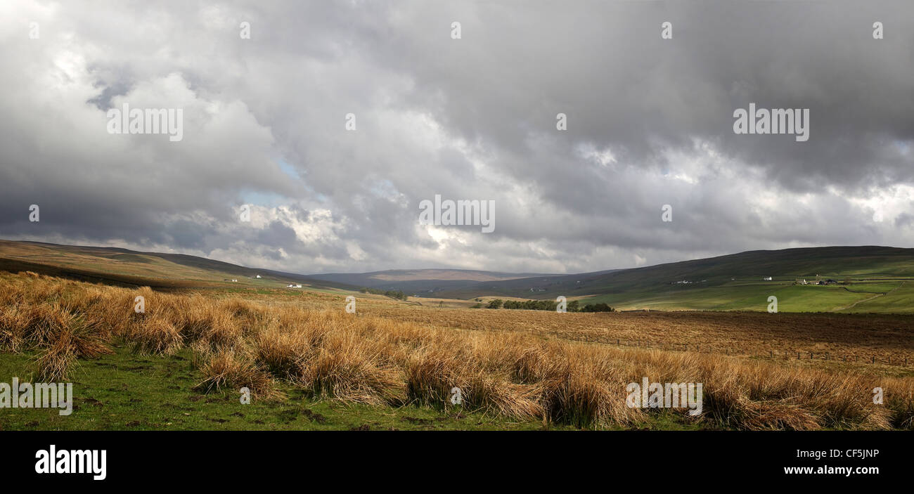 Durham Dales Panorama mit Hügeln und Tälern mit struppigen Gräser im Vordergrund Stockfoto