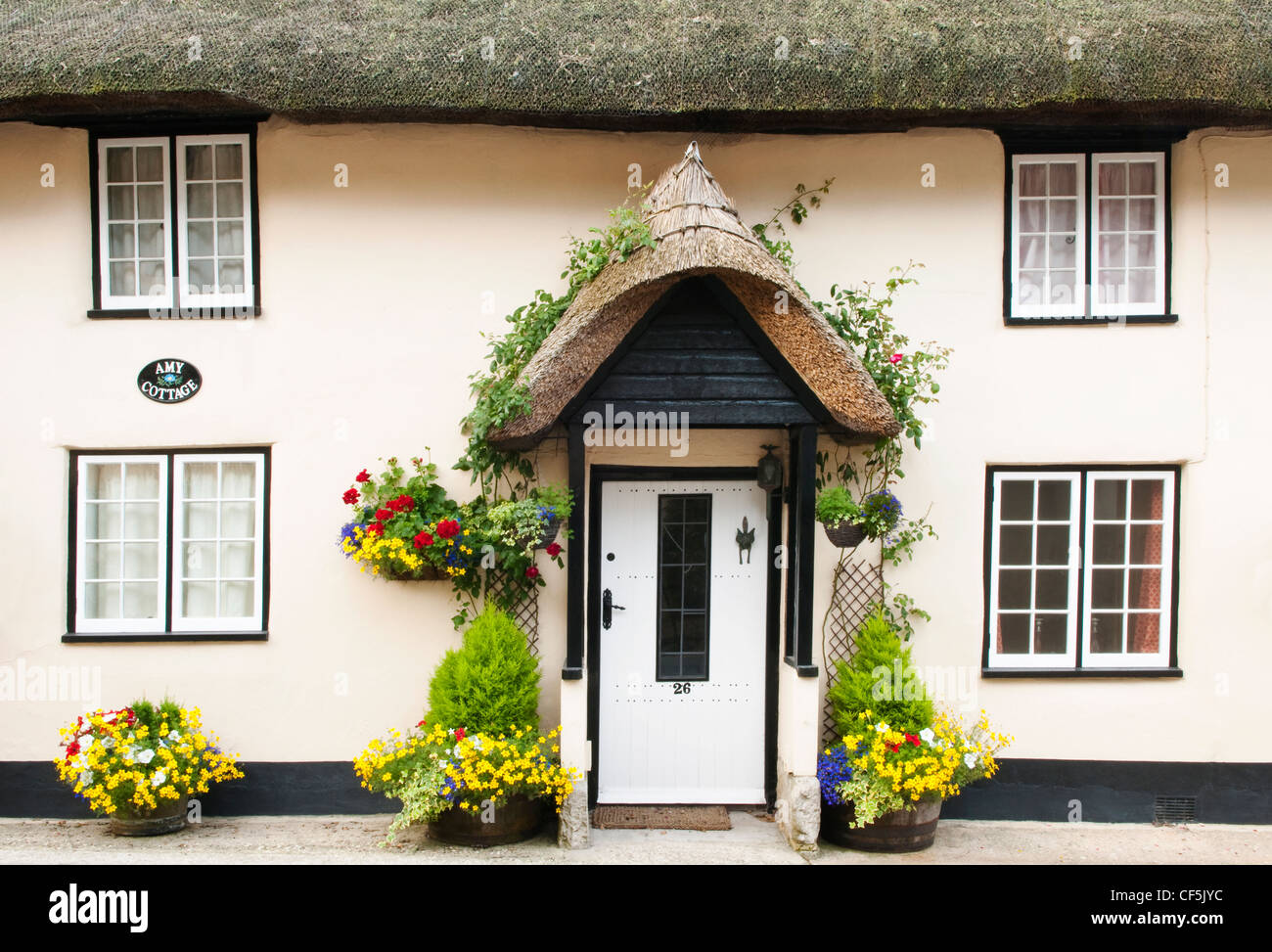 Ein traditionelles Reetdachhaus in West Lulworth. Stockfoto