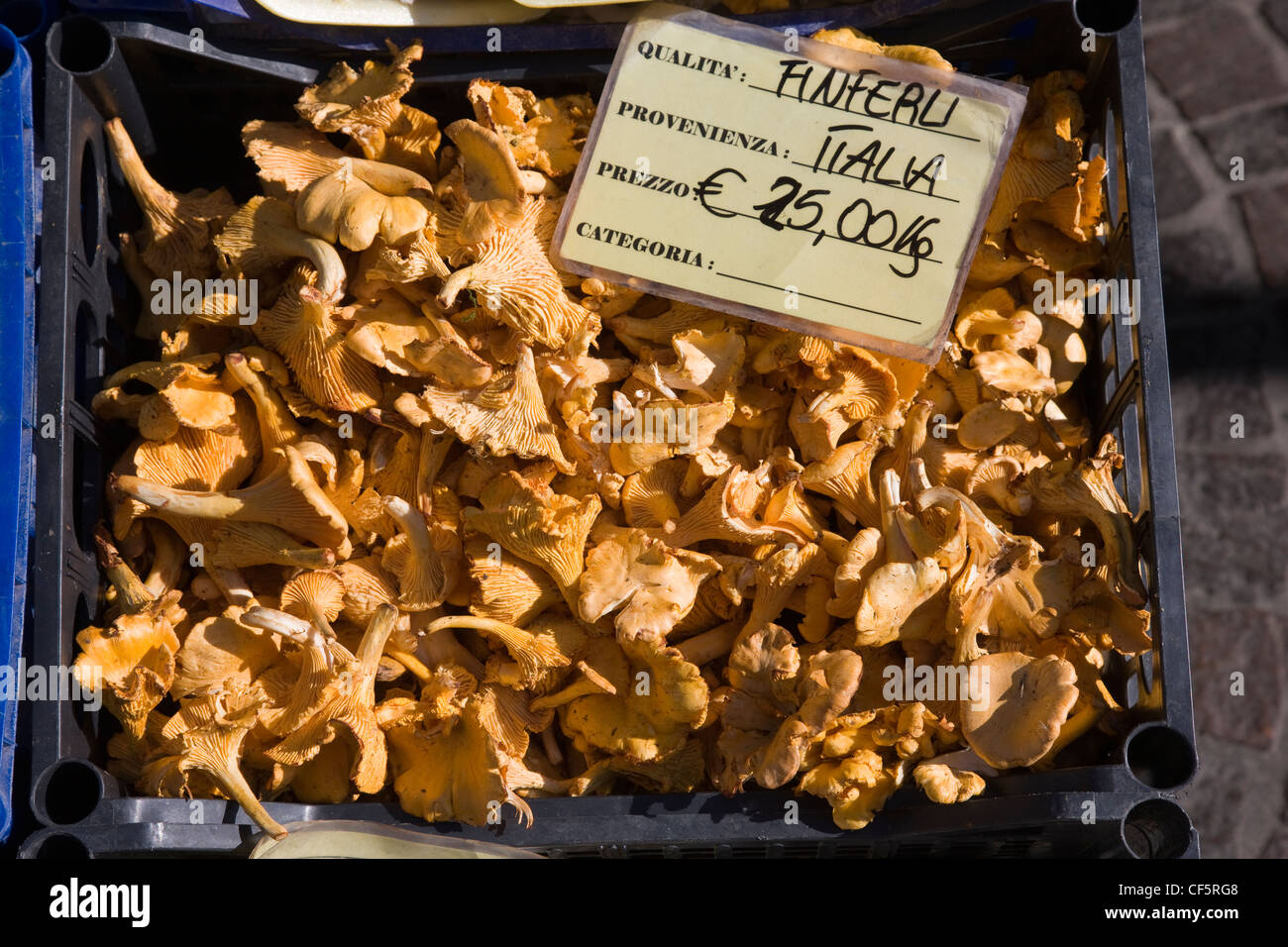 Finferli oder Pfifferlinge Pilze zum Verkauf in einer italienischen Gemüsehändler shop Stockfoto