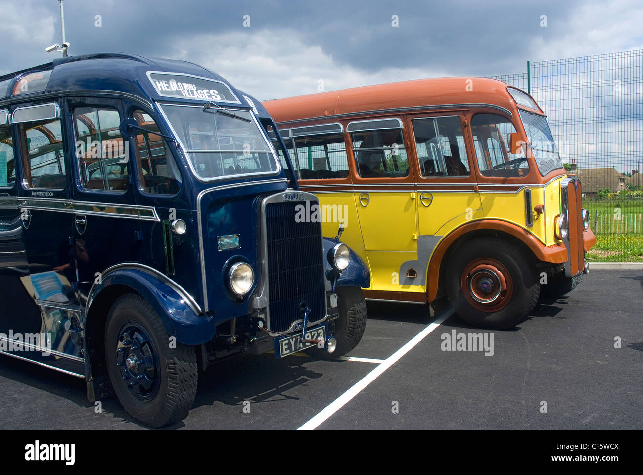 Historische Busse aus den 50er und 60er Jahren auf dem Display an den 90. Jahrestag Tag der offenen Tür in Epsom Coaches. Stockfoto