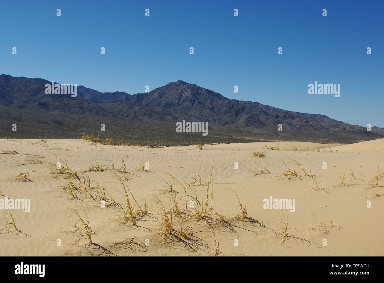 Sand und Providence Mountains, Mojave-Wüste, Kalifornien Stockfoto