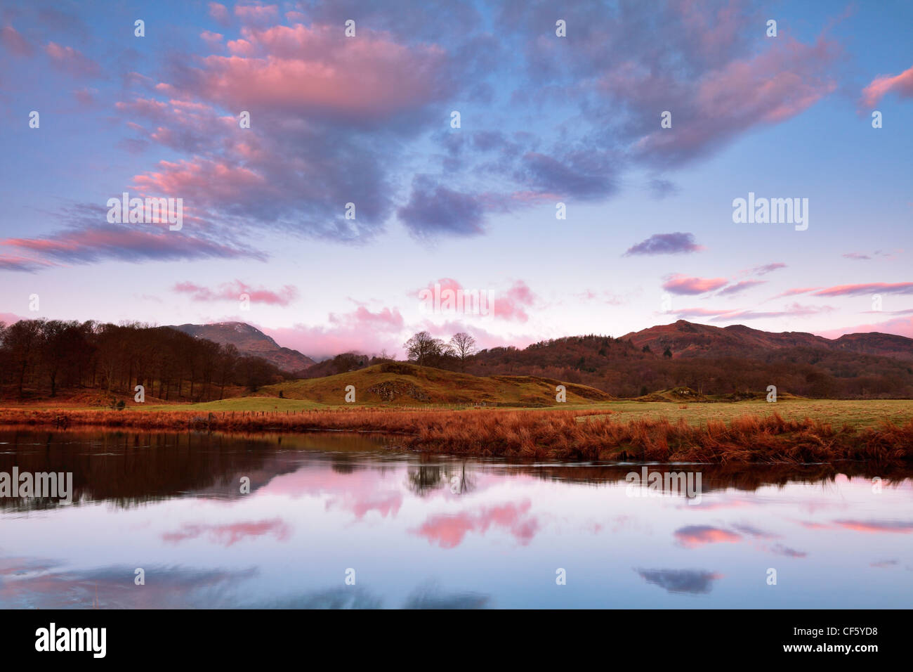 Reflexionen in den stillen Wassern des Flusses Brathay im Morgengrauen. Stockfoto