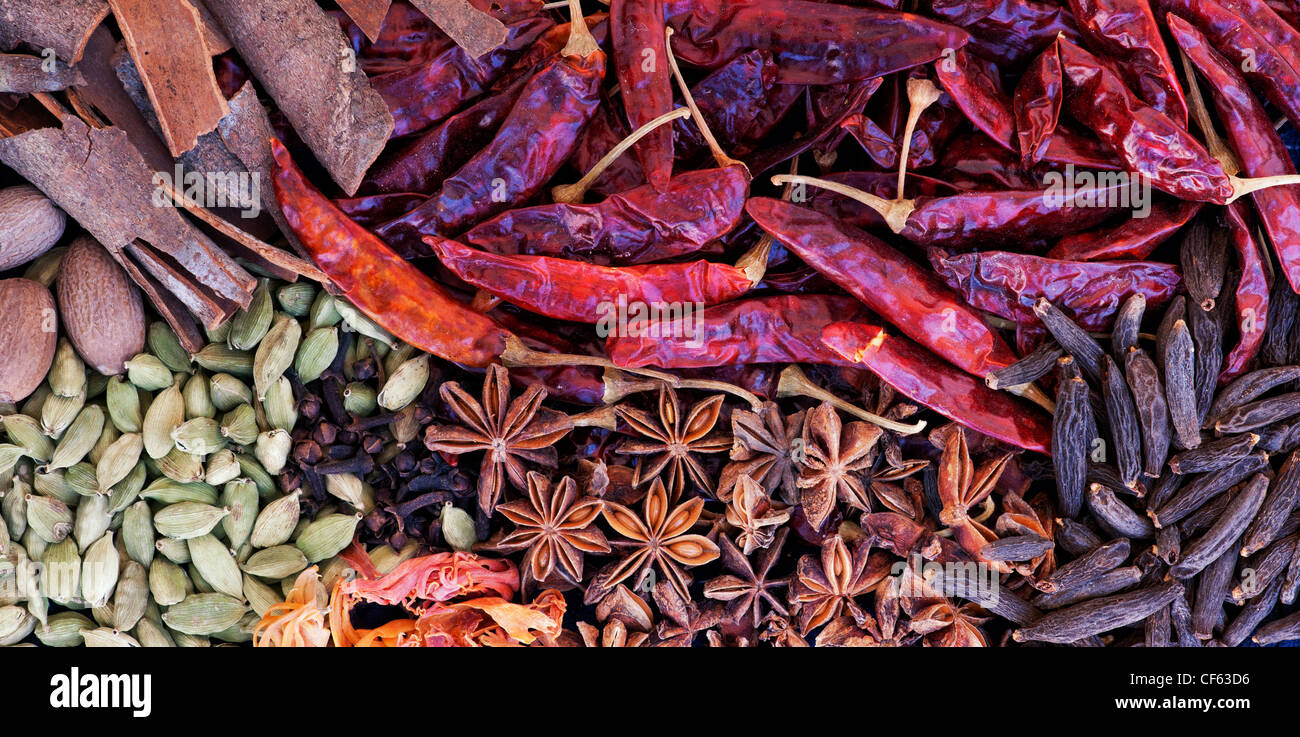 Indische Küche Gewürze Muster. Flach Fotografie von oben. Panoramablick Stockfoto
