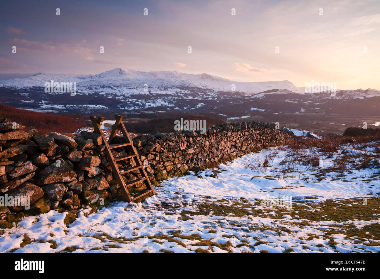 Holzstufen auf eine Trockensteinmauer am Abgrund Walk in Snowdonia-Nationalpark. Cadair Idris 893m oder 2930ft hohen kann s sein. Stockfoto