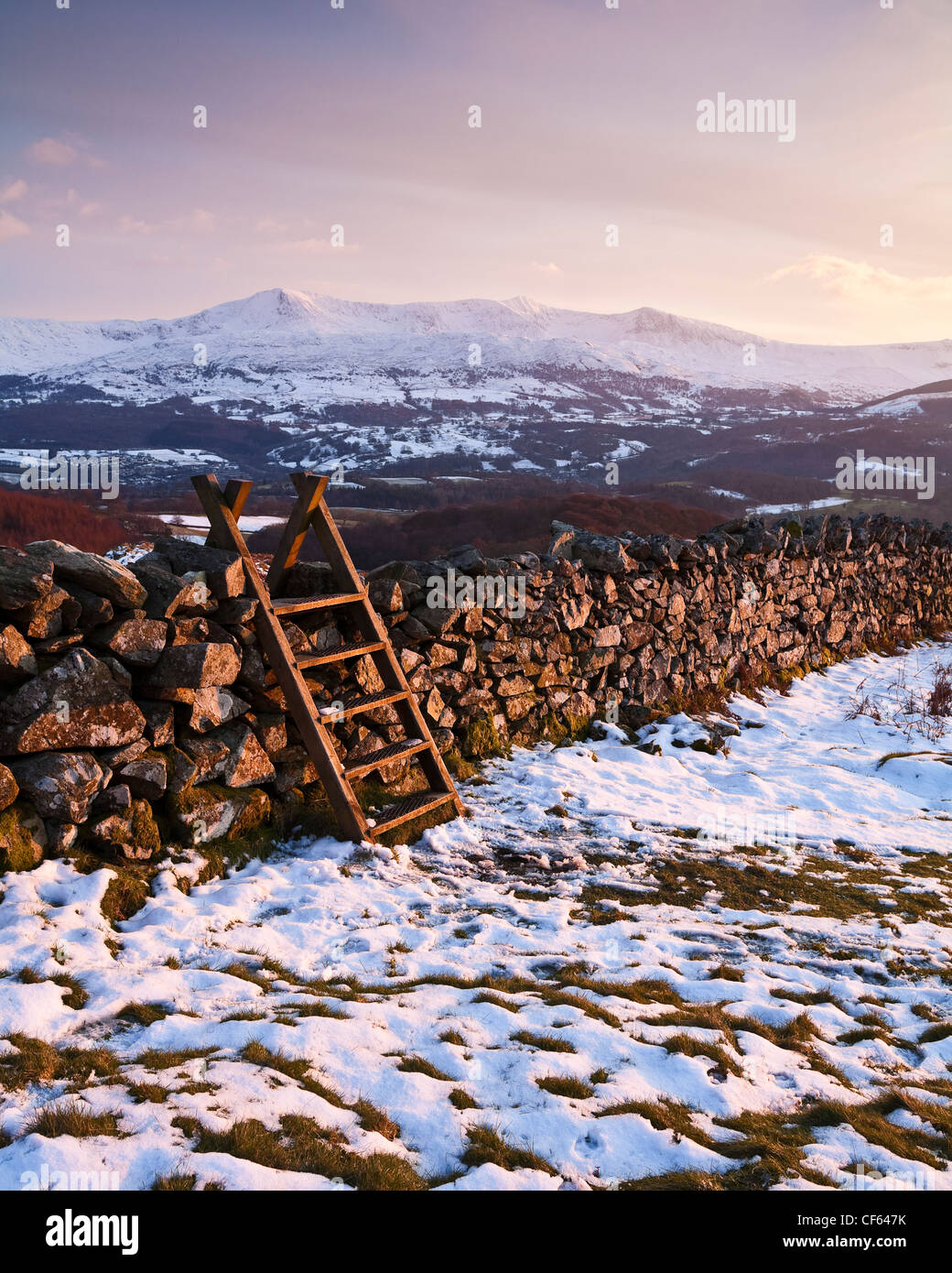 Holzstufen auf eine Trockensteinmauer am Abgrund Walk in Snowdonia-Nationalpark. Cadair Idris 893m oder 2930ft hohen kann s sein. Stockfoto