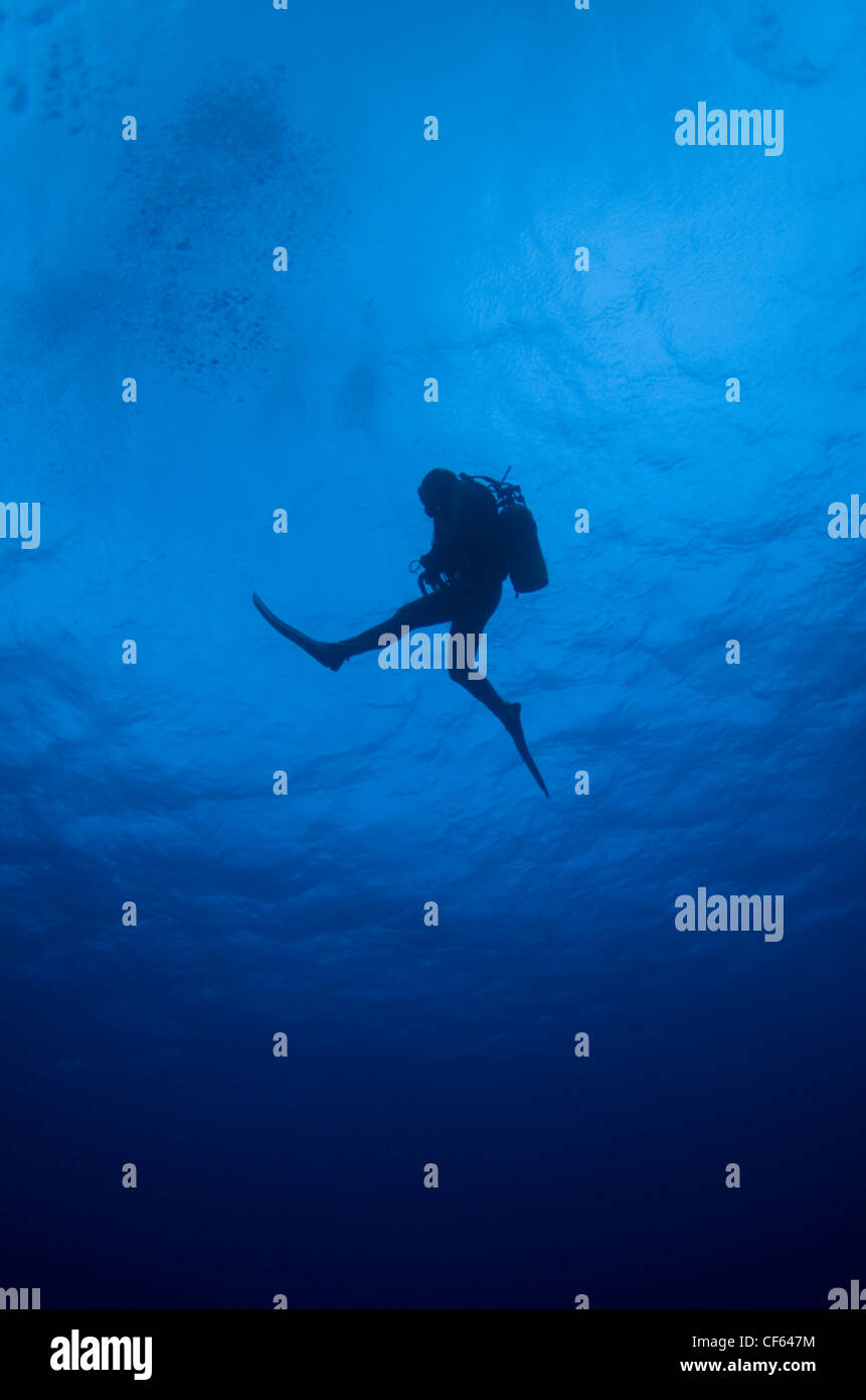 Scuba Diver Silhouette Ozean Stockfoto