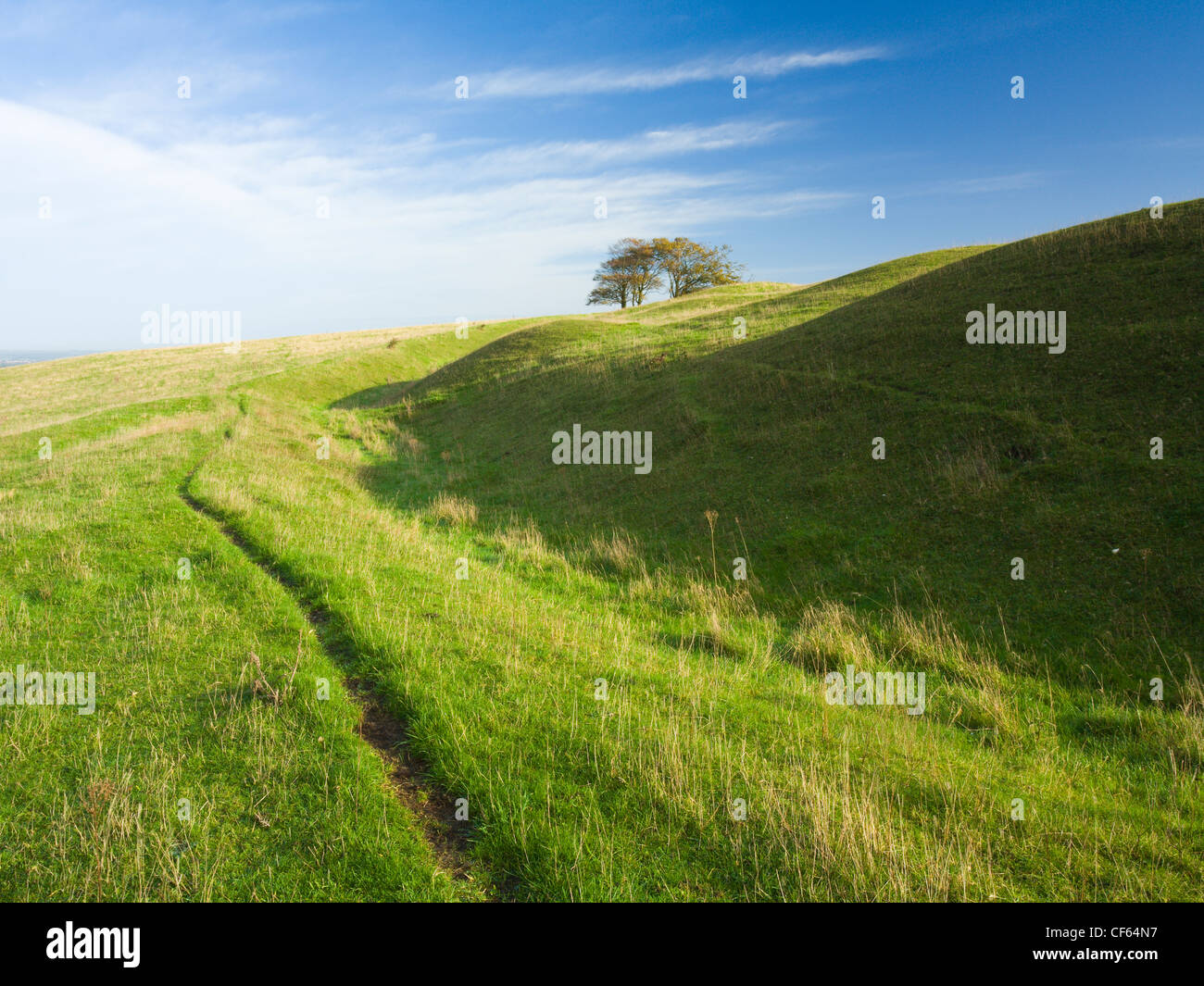 Schöpfkelle Hill, eine unvollendete Eisenzeit Burgberg und bronzezeitlichen Grabhügel auf große Litchfield Down in der Nähe von alten Bughclere. Stockfoto