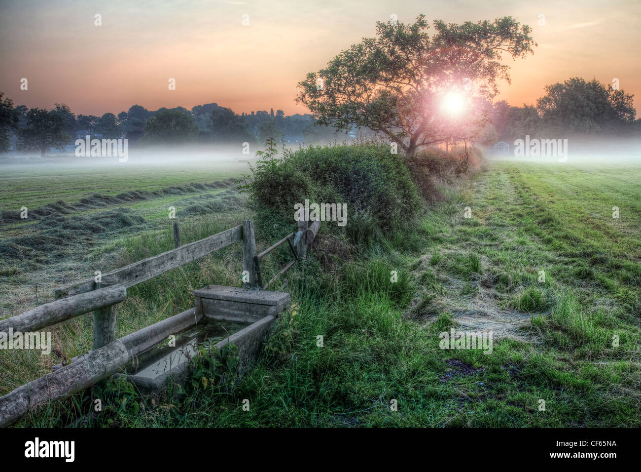 Eine steinerne Wassertrog in einem Feld mit niedriger liegenden Nebel bei Sonnenaufgang. Stockfoto