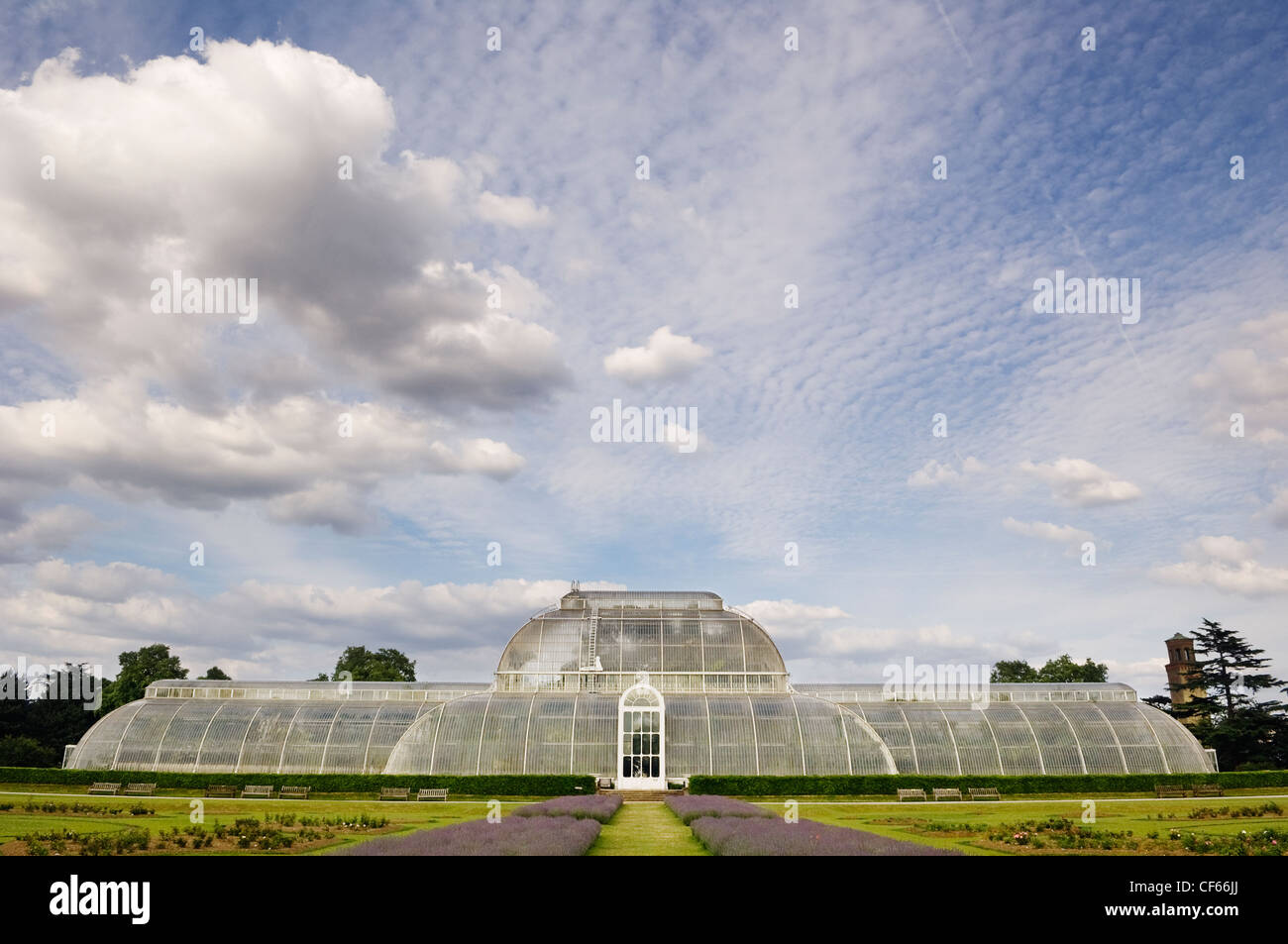 Die Rückseite des Palmenhauses, erbaut 1844-48 von Richard Turner, der berühmtesten Gebäude in Kew Gardens. Stockfoto