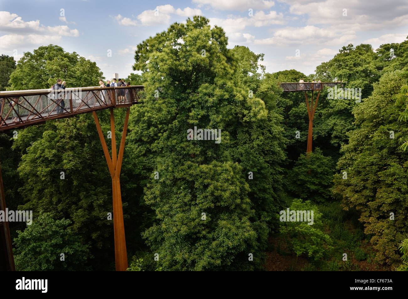 Xstrata Treetop Walkway, eine dauerhafte neue Attraktion im Herzen von Kew Gardens, die Besucher auf eine faszinierende Reise von Stockfoto